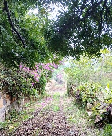 Fotografía No.1 de TERRENO EN VENTA EN SANTIAGO ATITLÁN