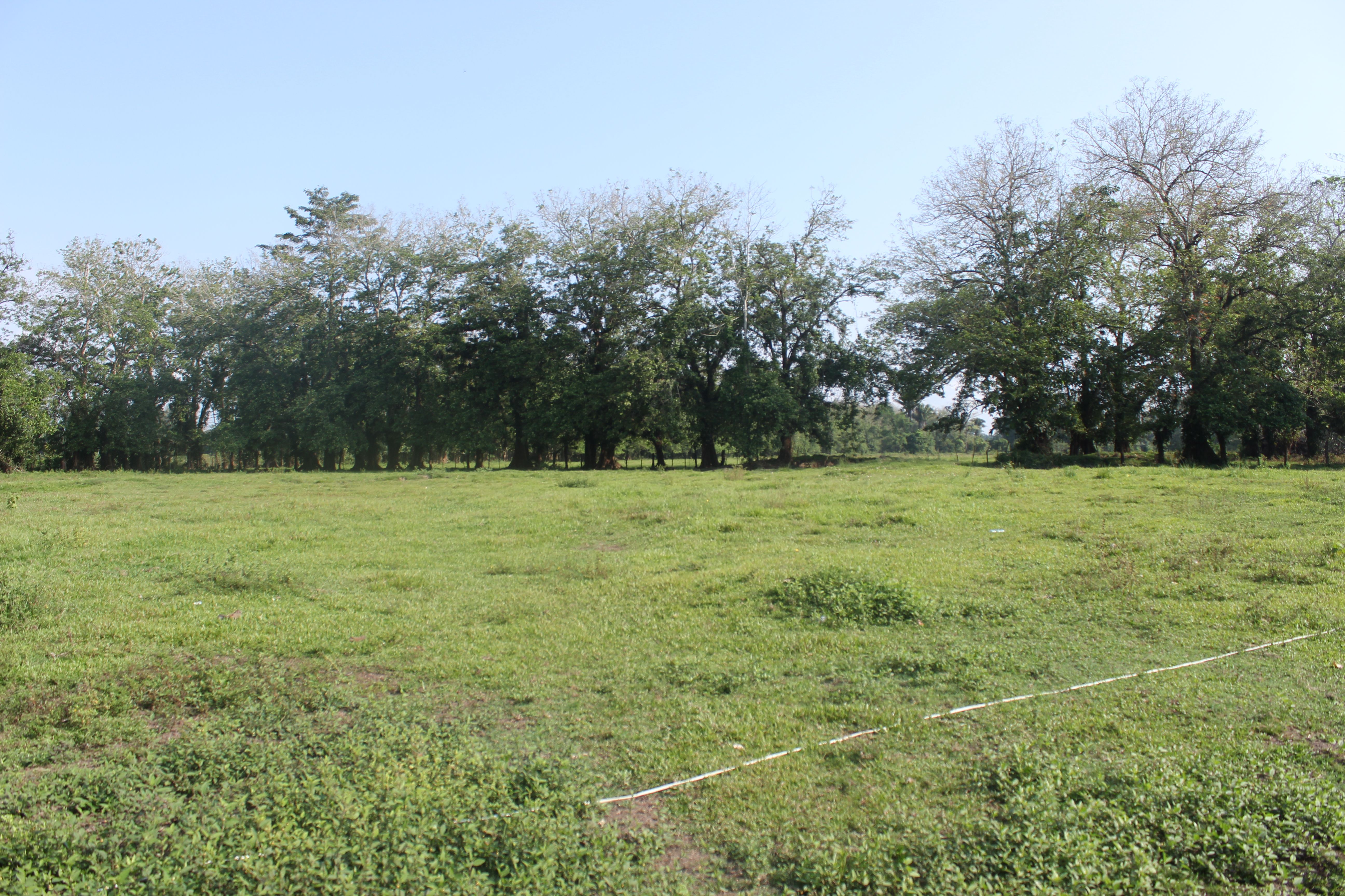 Fotografía No.4 de TERRENO EN VENTA PUERTO BARRIOS - IZABAL