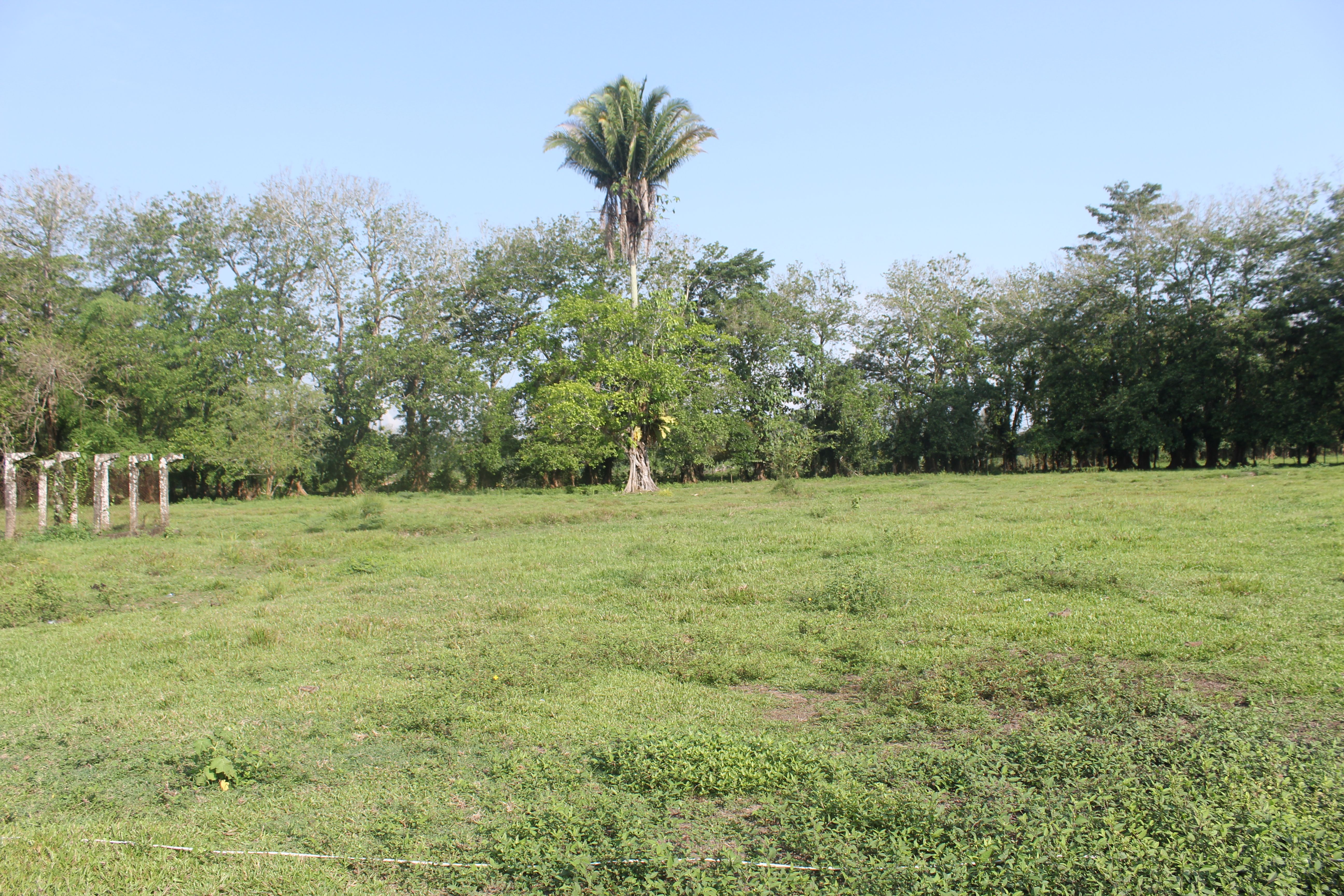 Portada de TERRENO EN VENTA PUERTO BARRIOS - IZABAL