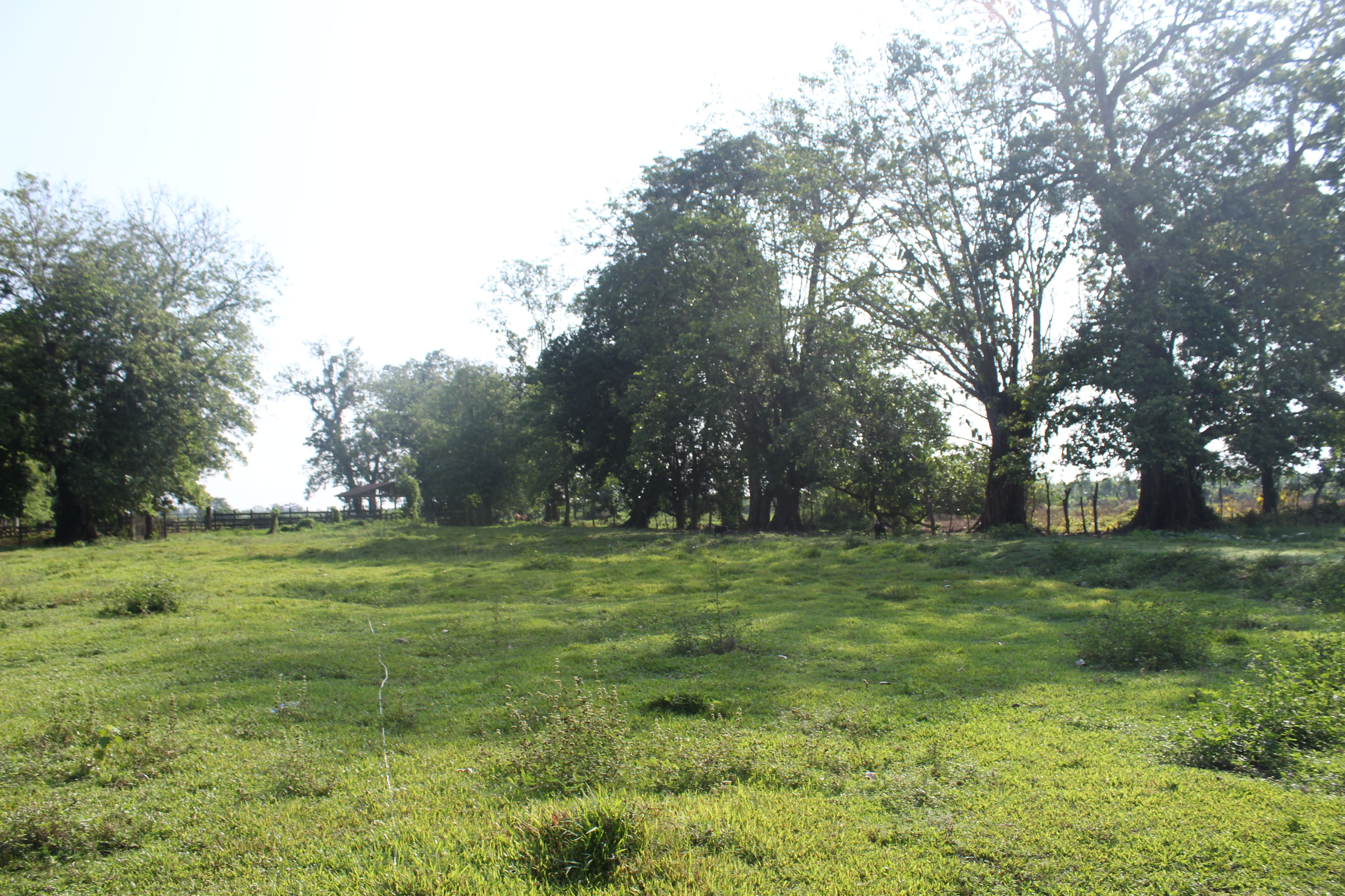 Fotografía No.3 de TERRENO EN VENTA PUERTO BARRIOS - IZABAL