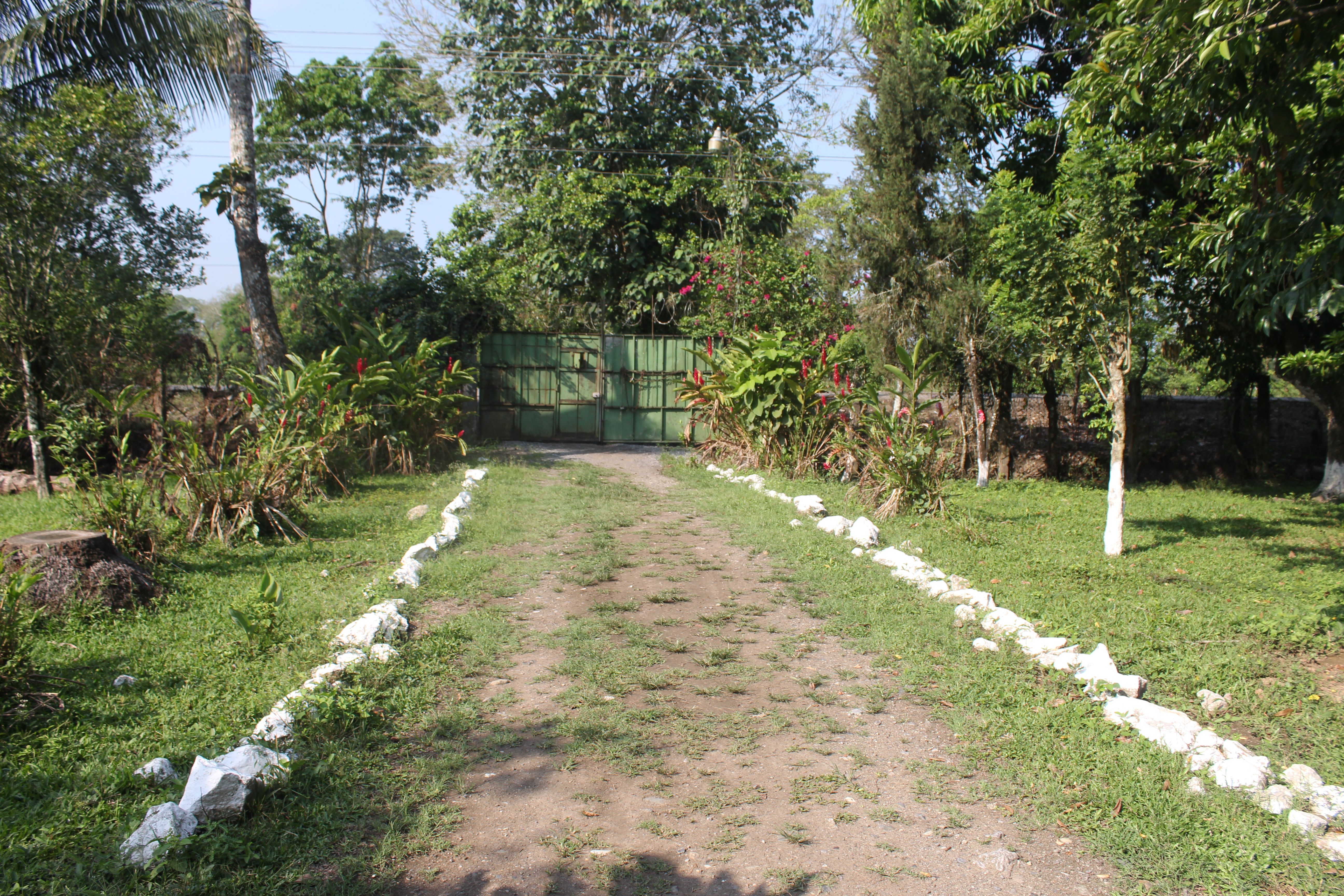 Fotografía No.9 de TERRENO EN VENTA PUERTO BARRIOS - IZABAL