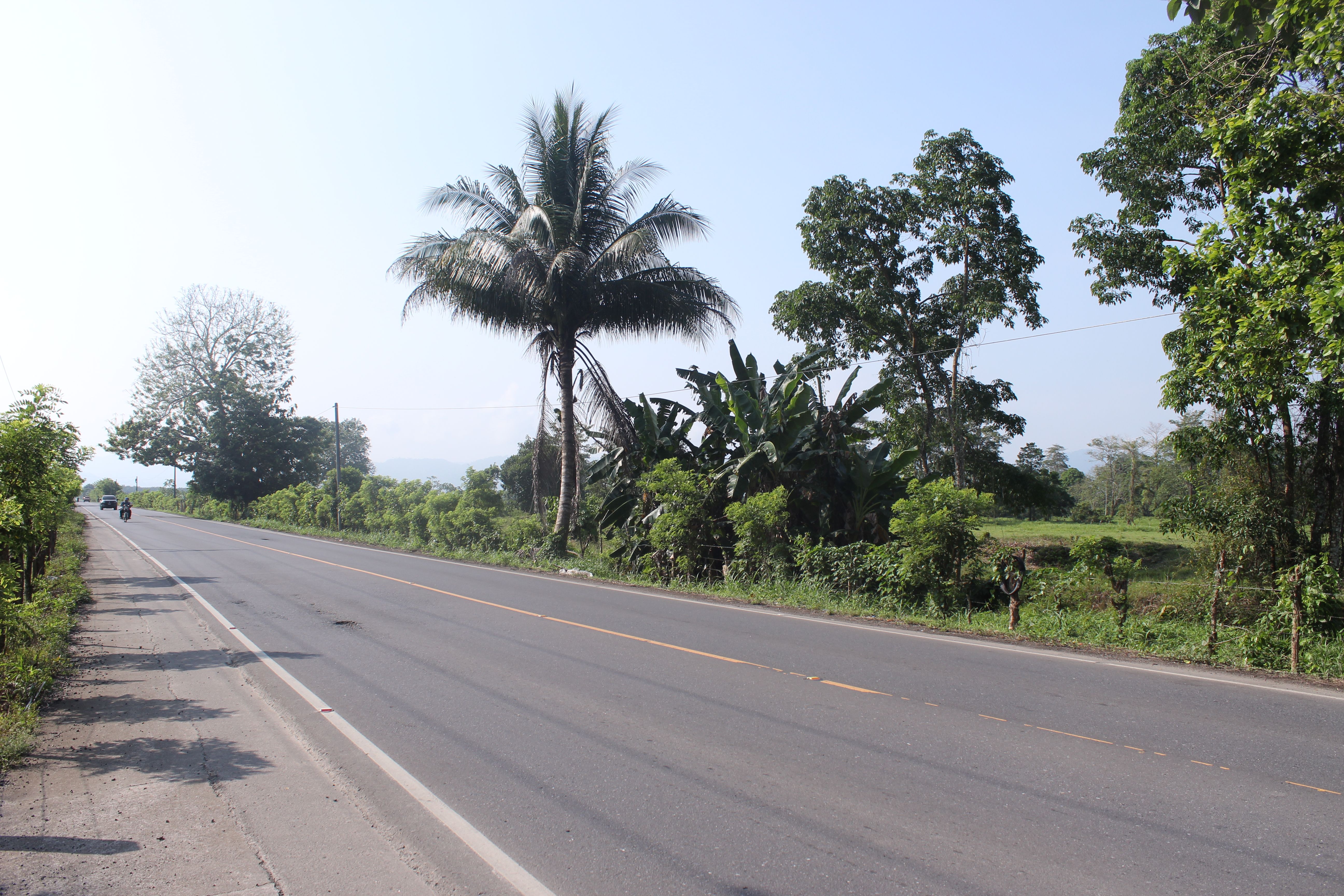 Fotografía No.5 de TERRENO EN VENTA PUERTO BARRIOS - IZABAL