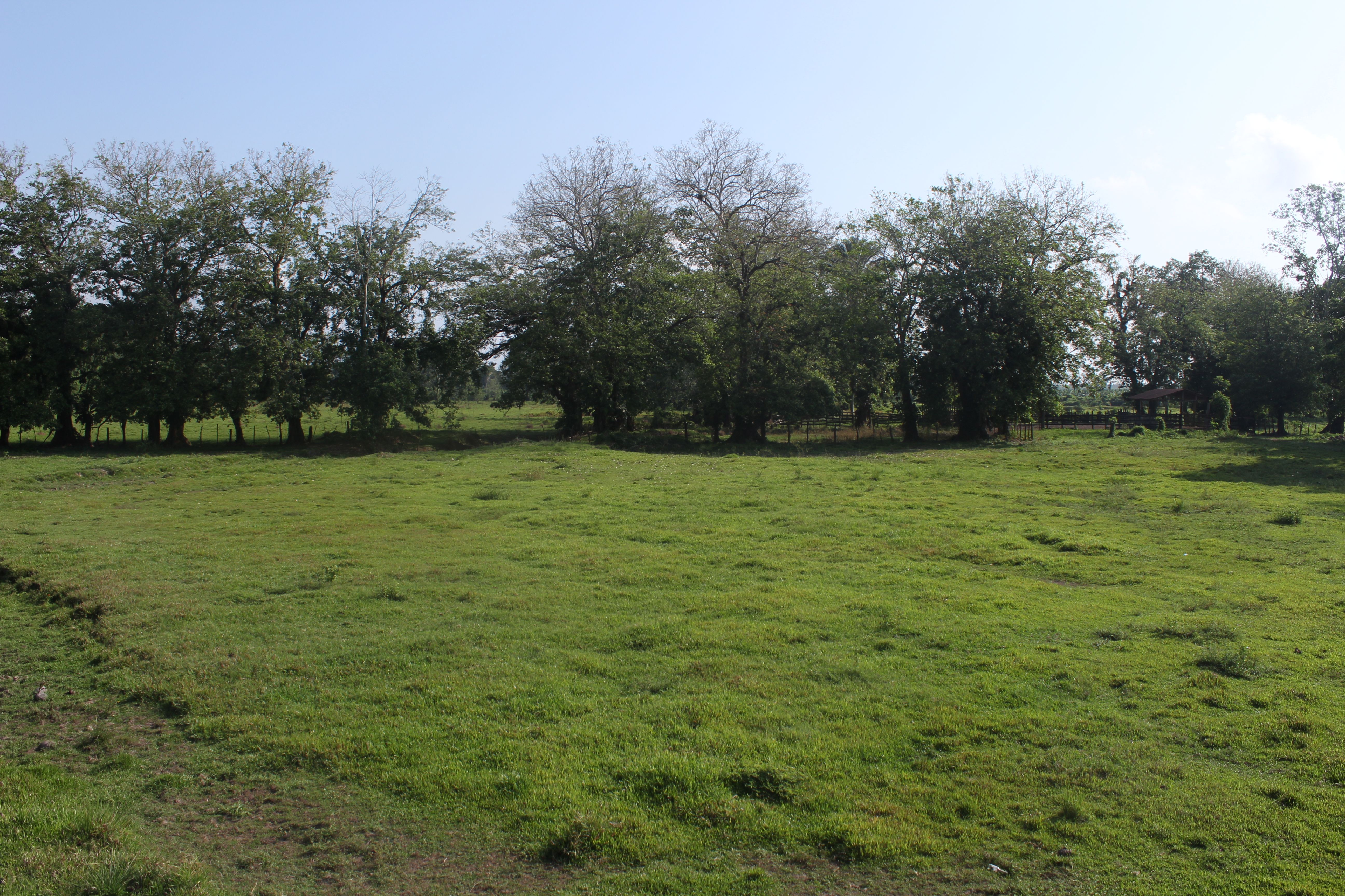 Fotografía No.6 de TERRENO EN VENTA PUERTO BARRIOS - IZABAL