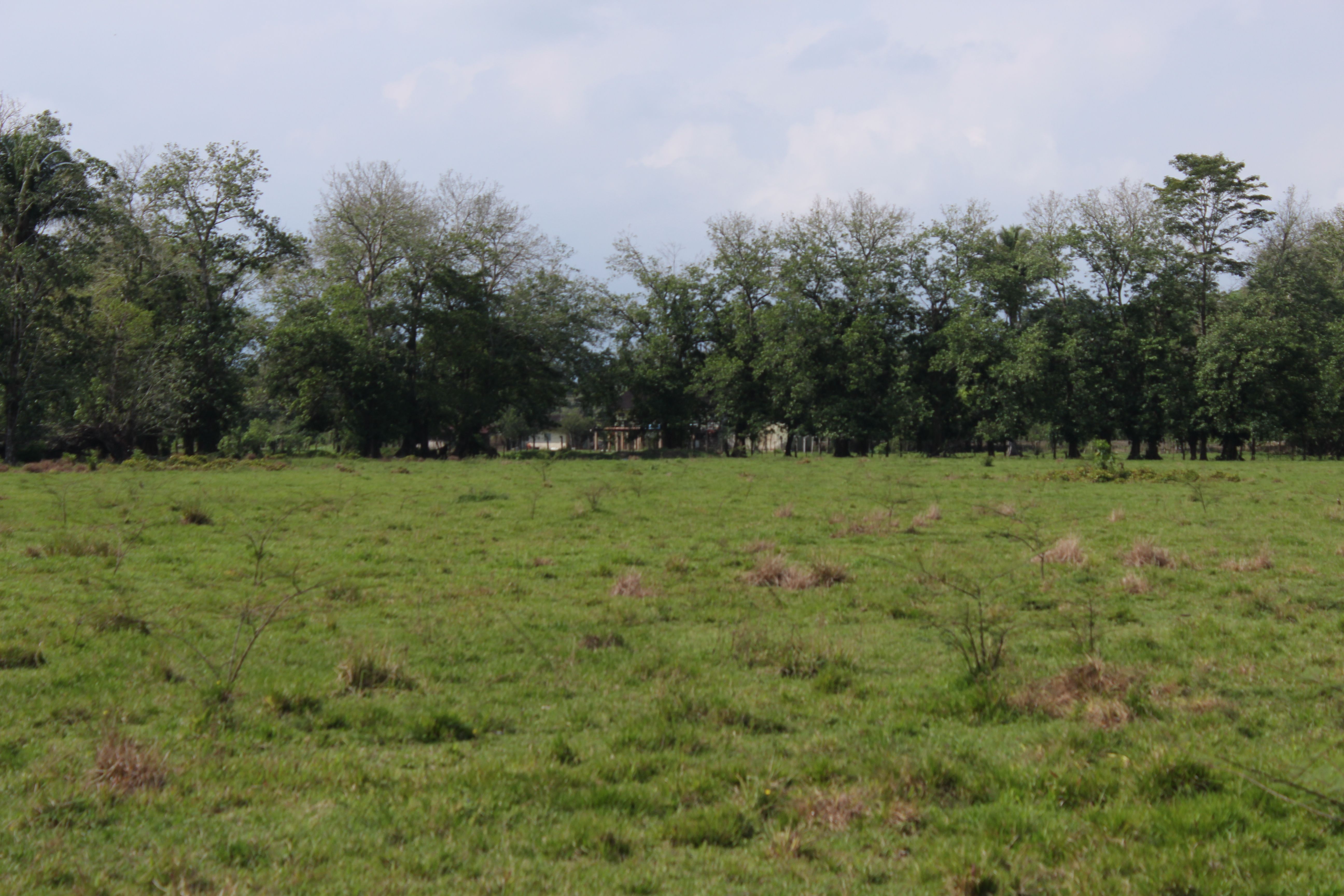 Fotografía No.2 de TERRENO EN VENTA PUERTO BARRIOS - IZABAL