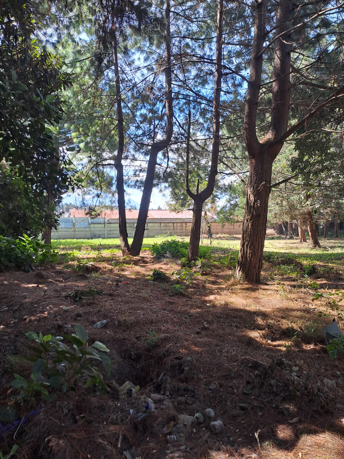 Fotografía No.2 de TERRENO EN RENTA MILPAS ALTAS SACATEPEQUEZ