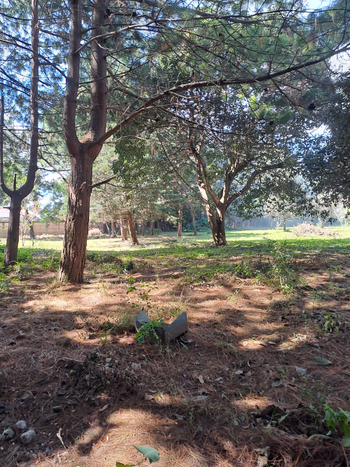 Fotografía No.0 de TERRENO EN RENTA MILPAS ALTAS SACATEPEQUEZ