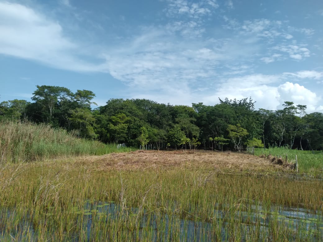 Fotografía No.1 de TERRENO EN VENTA FLORES PETÉN