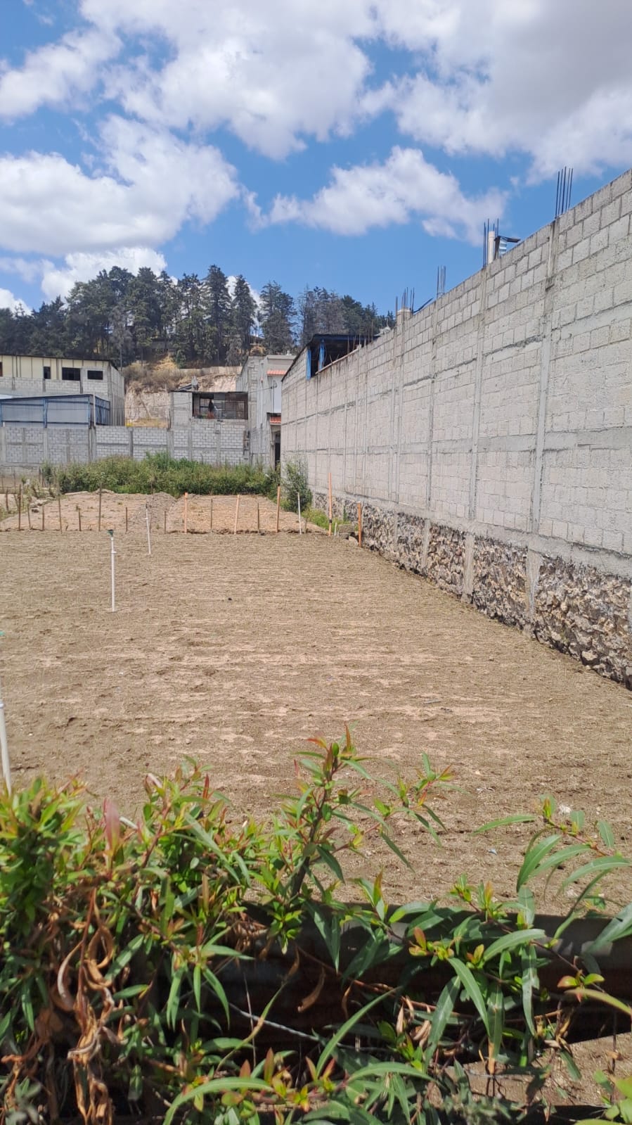 Fotografía No.2 de TERRENO EN VENTA EN QUETZALTENANGO
