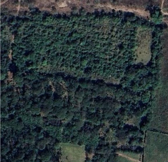 Fotografía No.1 de TERRENO EN VENTA 2 MANZANAS EN SANTA ROSA