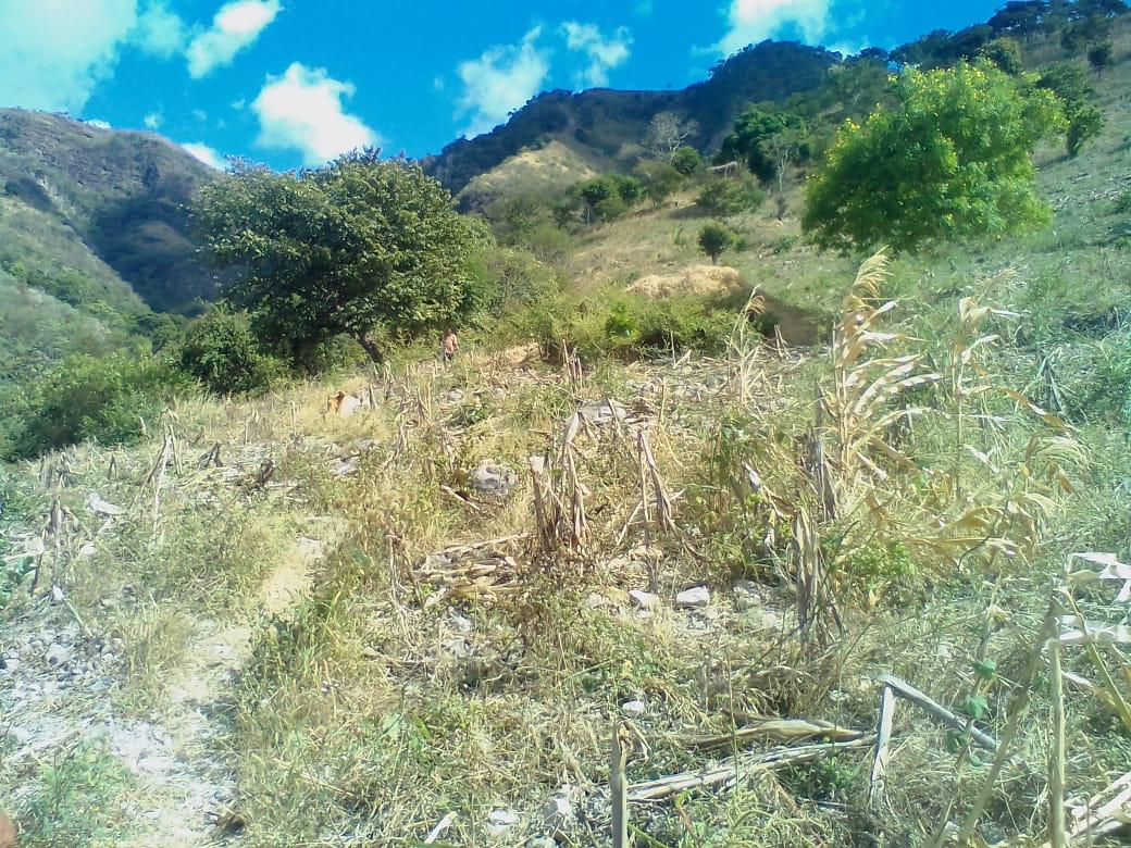Fotografía No.0 de TERRENO EN VENTA 60 MNZ. EN CHIQUIMULA