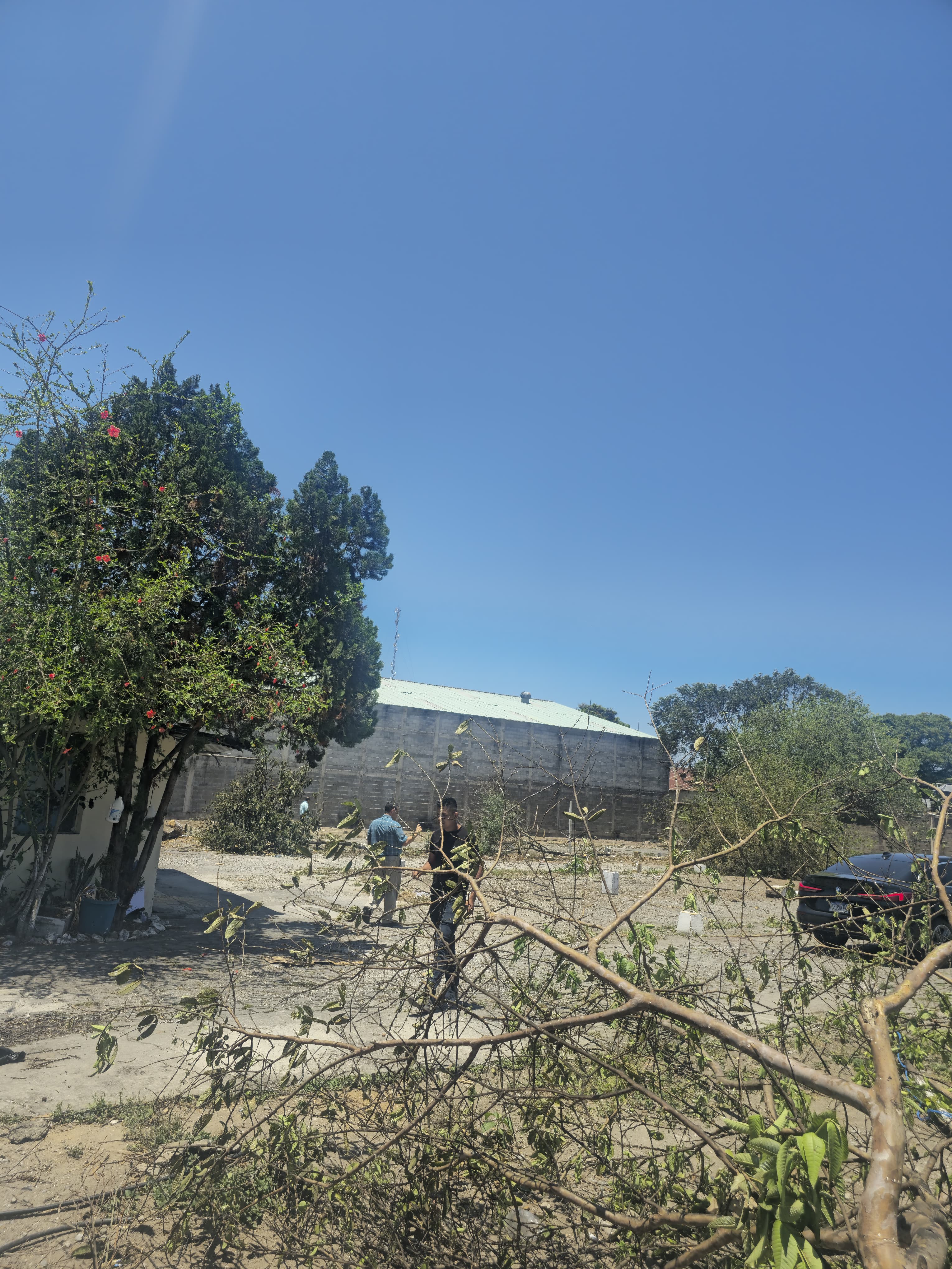 Fotografía No.0 de TERRENO EN VENTA ZONA 1