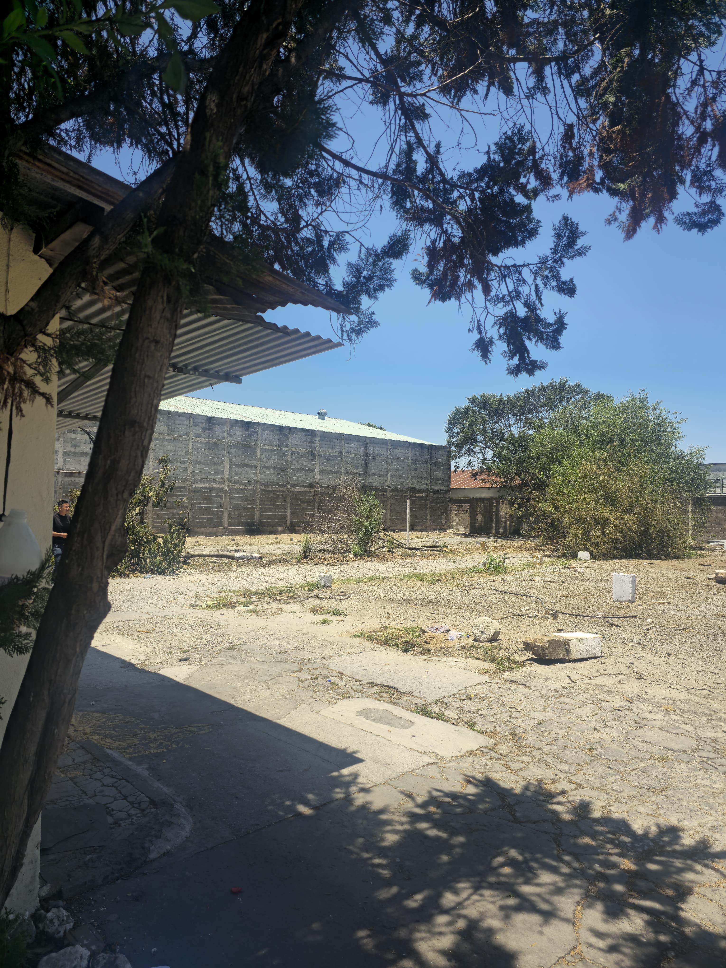 Fotografía No.3 de TERRENO EN VENTA ZONA 1
