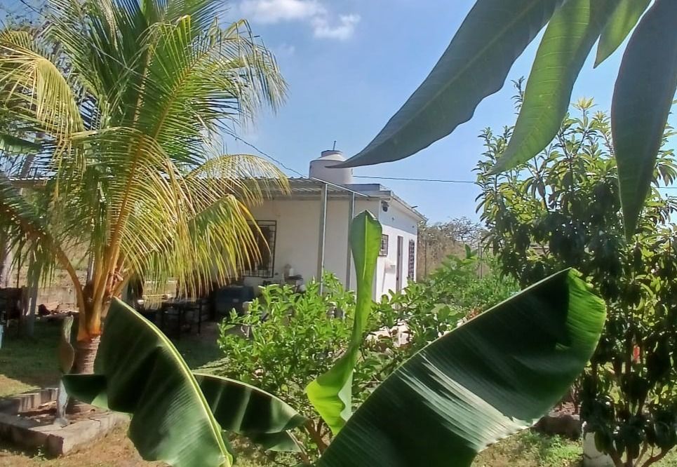 Portada de TERRENO EN VENTA  ESCUINTLA QUINTAS LA PONDEROSA