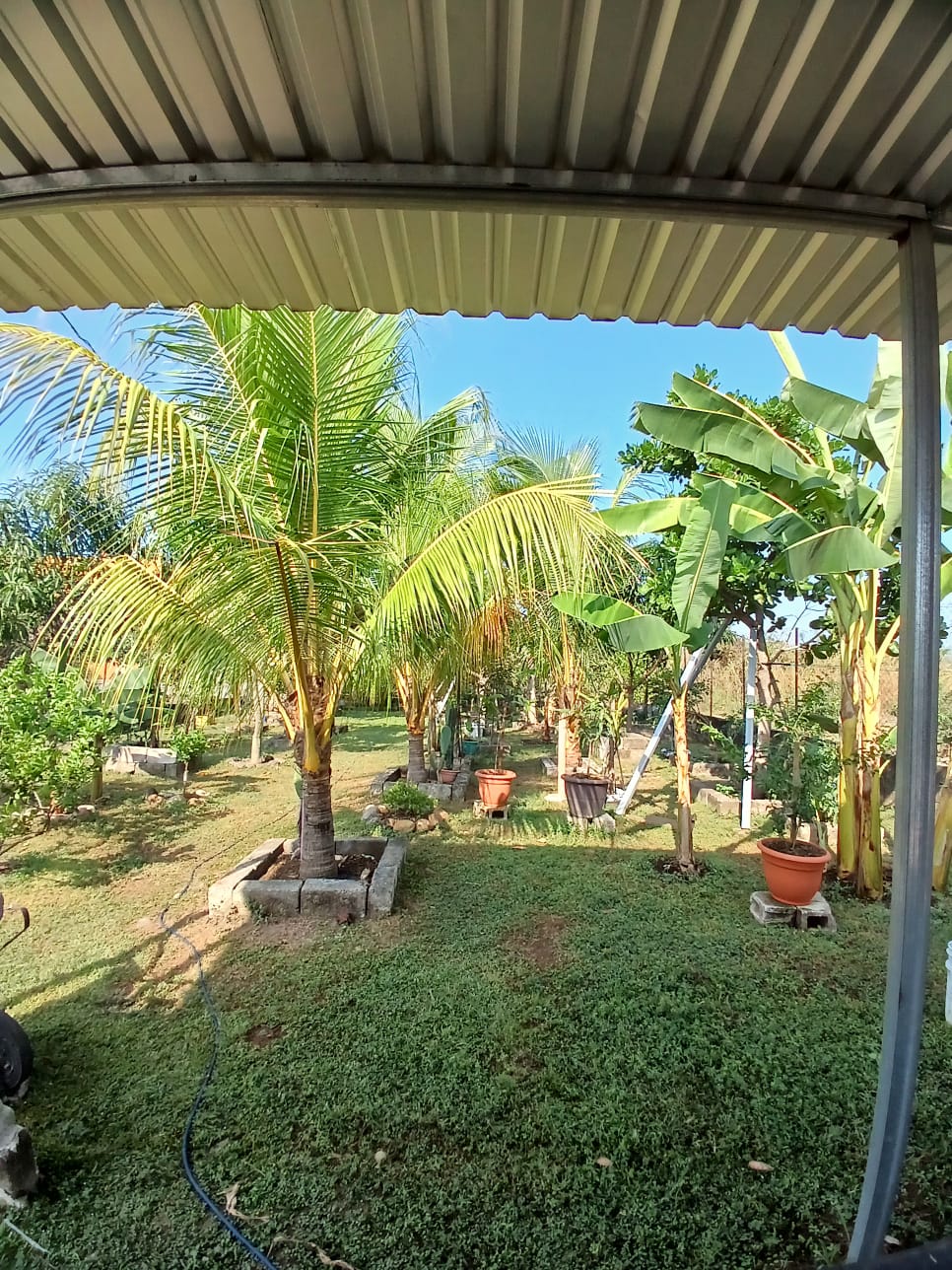 Fotografía No.1 de TERRENO EN VENTA  ESCUINTLA QUINTAS LA PONDEROSA