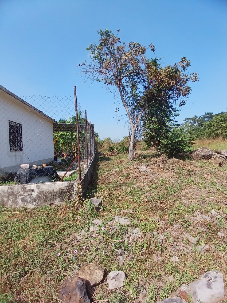 Fotografía No.3 de TERRENO EN VENTA  ESCUINTLA QUINTAS LA PONDEROSA