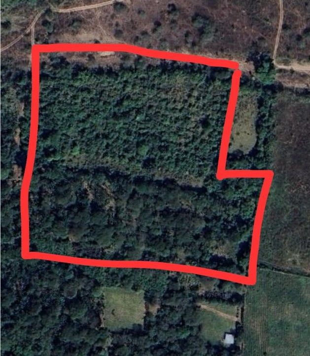 Fotografía No.0 de TERRENO EN VENTA 2 MANZANAS EN SANTA ROSA
