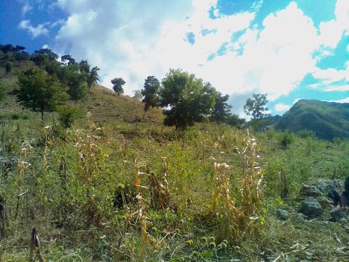 Portada de TERRENO EN VENTA 60 MNZ. EN CHIQUIMULA